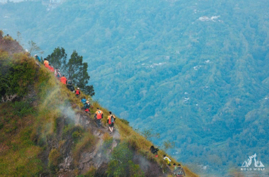 Bold Wolf - đơn vị tổ chức teambuilding adventure