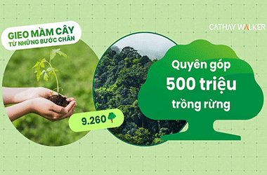 Cathay Life quyên góp 500 triệu đồng trồng 9.260 cây xanh