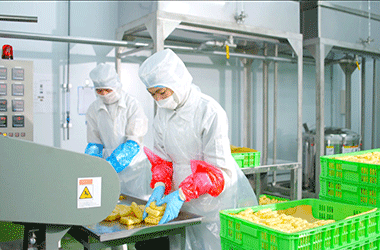 Kowa đưa vào vận hành nhà máy thực phẩm tại Việt Nam