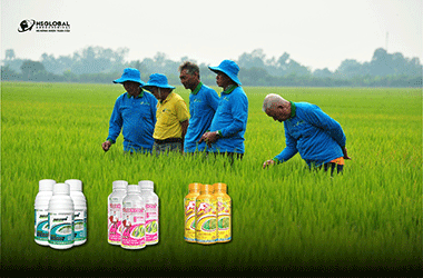 Nông Dược Toàn Cầu - Bộ sản phẩm đáp ứng đa dạng nhu cầu nông nghiệp