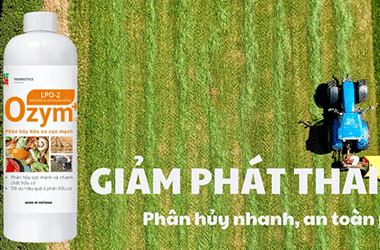 Giải pháp sinh học cho nông nghiệp bền vững