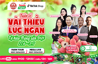 Vải thiều đã chín đỏ trên siêu thị online Sendo Farm
