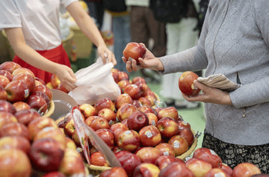 Táo Cosmic Crisp của Hoa Kỳ trở lại thị trường Việt Nam