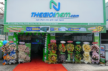Thế Giới Nệm: 16 năm lan tỏa giấc ngủ hạnh phúc