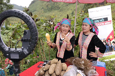 Tìm dư địa mới cho thương mại điện tử tại Việt Nam