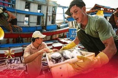 Chất biển mạnh mẽ trong nhịp sống người dân miền duyên hải