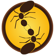 Công Ty Cổ Phần SmartCA