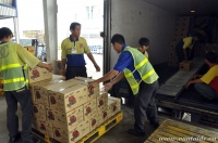 Công Ty TNHH TM DV Bốc Xếp Đại Phát