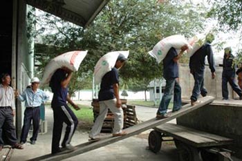 Công Ty TM DV Bốc Xếp Sài Gòn