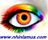 Công Ty TNHH Thương Mại Dịch Vụ Long Tân