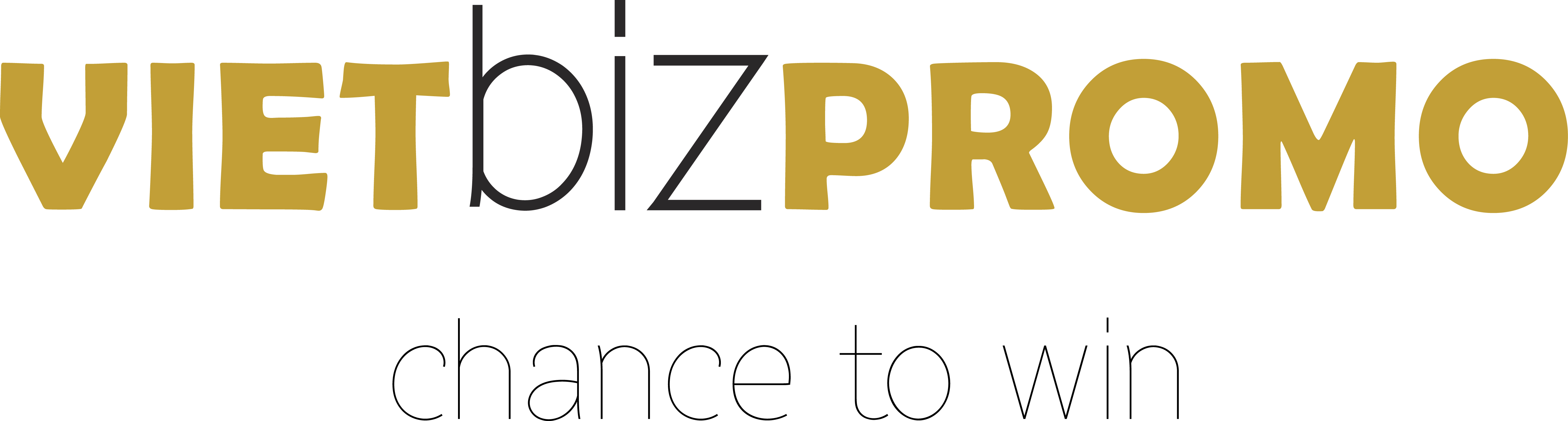 Vietbizpromotion