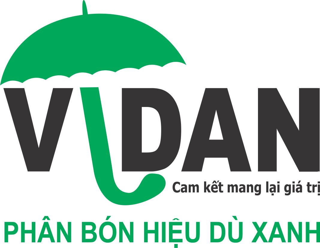 Công Ty TNHH Vi Dan