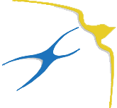 Cty TNHH TM-DV Yến Phi