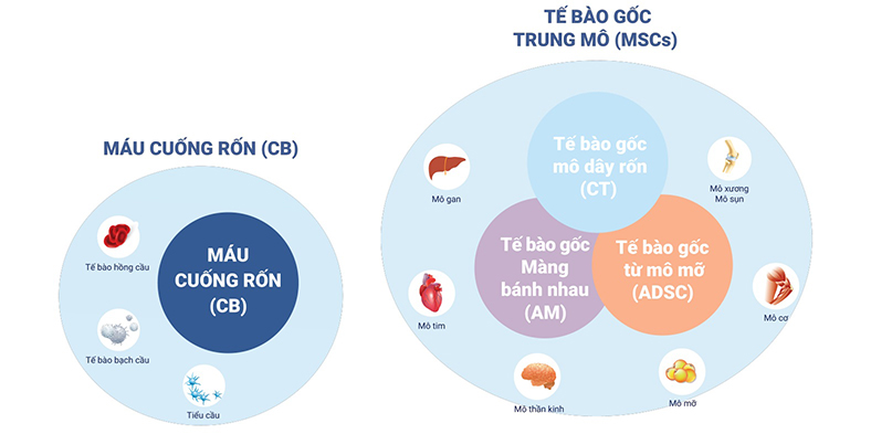 Ngân hàng mô Cryoviva đạt chứng nhận AABB của Hoa Kỳ