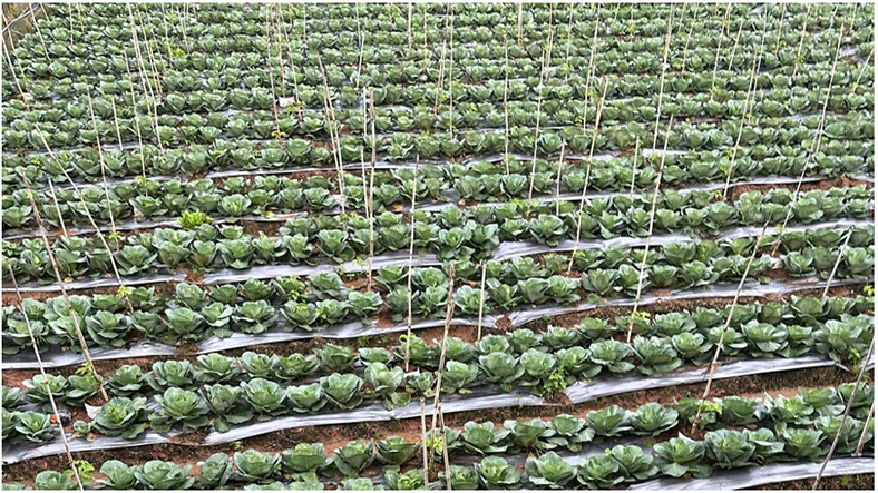 Hệ sinh thái ống nhựa Ströman: giải pháp đa năng cho mọi công trình