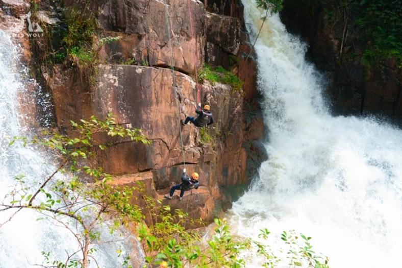Bold Wolf - đơn vị tổ chức teambuilding adventure