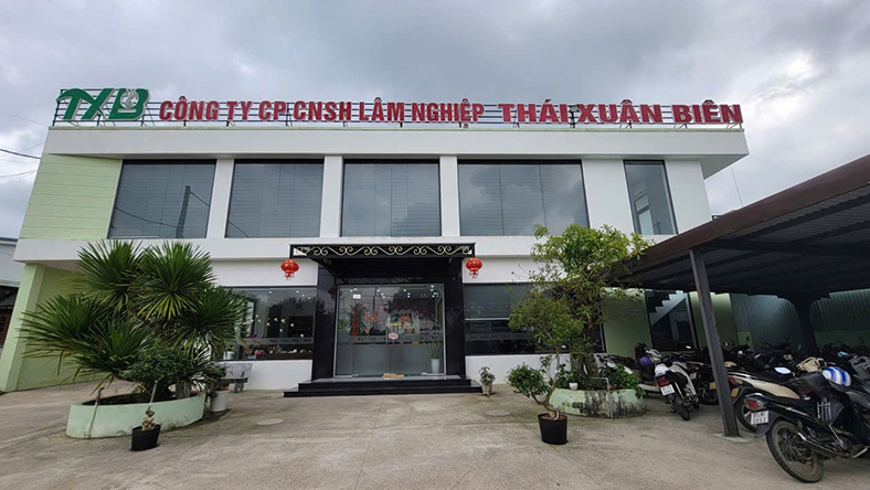 Từ phòng nuôi cấy mô đến những cánh rừng xanh