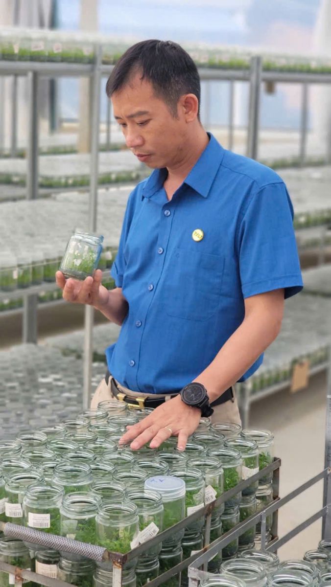 Từ phòng nuôi cấy mô đến những cánh rừng xanh