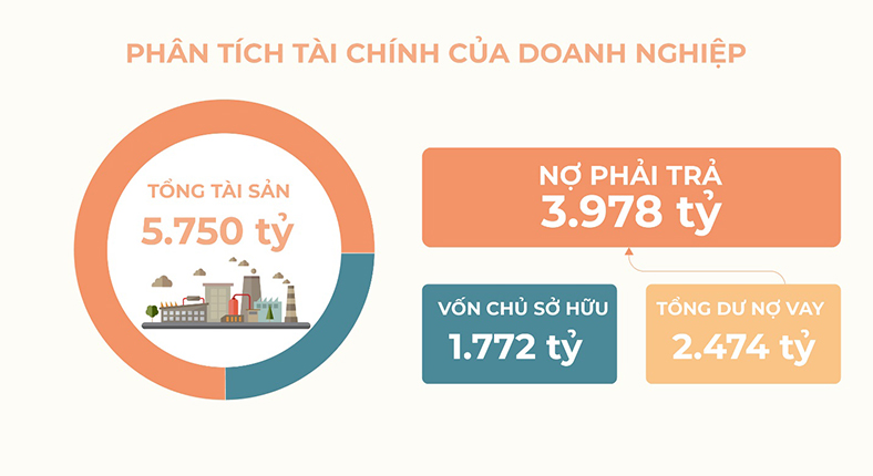 AMY GRUPO: Nền tảng tài chính vững vàng cho hành trình tăng trưởng mới