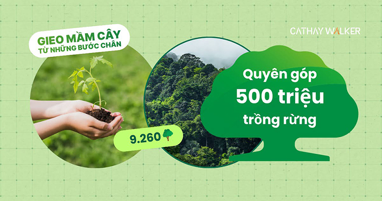 Cathay Life quyên góp 500 triệu đồng trồng 9.260 cây xanh
