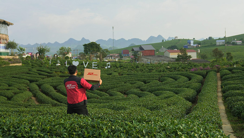 J&T Express đồng hành cùng hộ kinh doanh chè Thái Nguyên