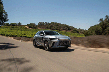 Lexus Việt Nam ra mắt thêm 2 phiên bản RX Hybrid