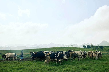 Mộc Châu Creamery chinh phục người tiêu dùng miền Nam