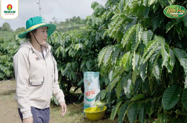 Nét Đẹp Mùa Vàng Thắng Lớn: livestream đặc biệt tôn vinh chị em nhà nông