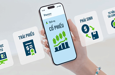 Pinetree và thế hệ nhà đầu tư tự chủ