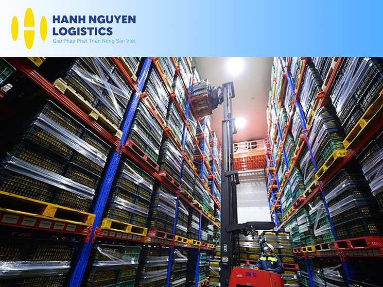 Hạnh Nguyên Logistics khai trương máy chiếu xạ công suất lớn