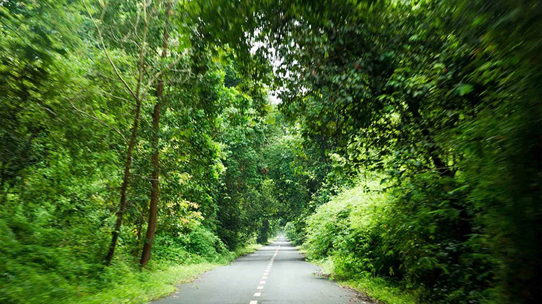 Ra mắt dự án Go Green Go Up