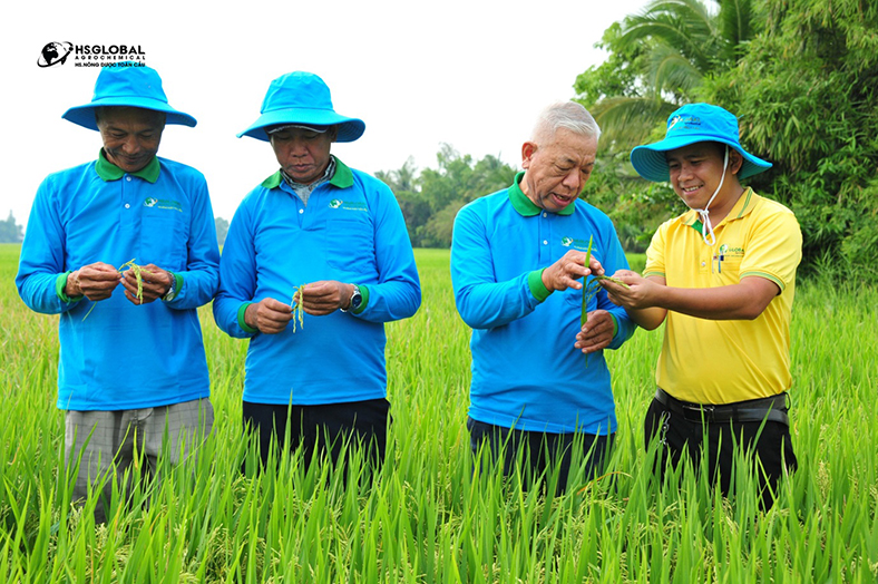 Nông Dược Toàn Cầu - Bộ sản phẩm đáp ứng đa dạng nhu cầu nông nghiệp