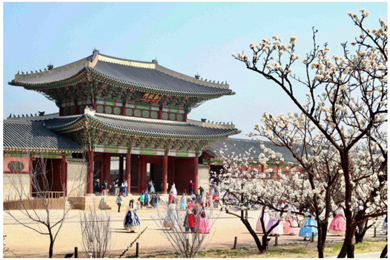 Study Tour Hàn Quốc trở thành xu hướng 'du lịch' mới của giới trẻ