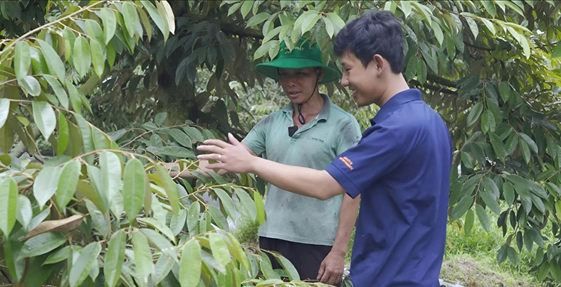 Phân bón NPK Việt Nhật, đâu phải chỉ riêng cho lúa