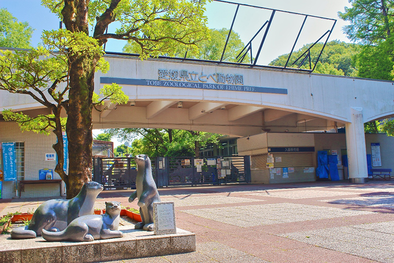 Hành trình khám phá Ehime (Nhật Bản) cho các gia đình có trẻ nhỏ