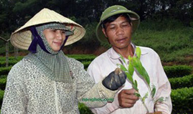 Nghề... bán mặt cho đất