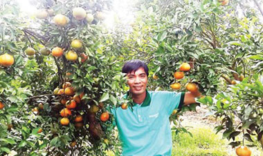 Tỉ phú Hà thành trên cao nguyên