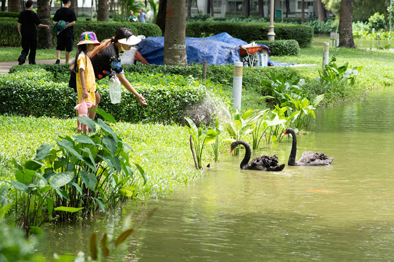 Sống chất lượng tại khu đô thị đa dạng sinh học ở TP.HCM