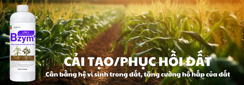 Giải pháp sinh học cho nông nghiệp bền vững