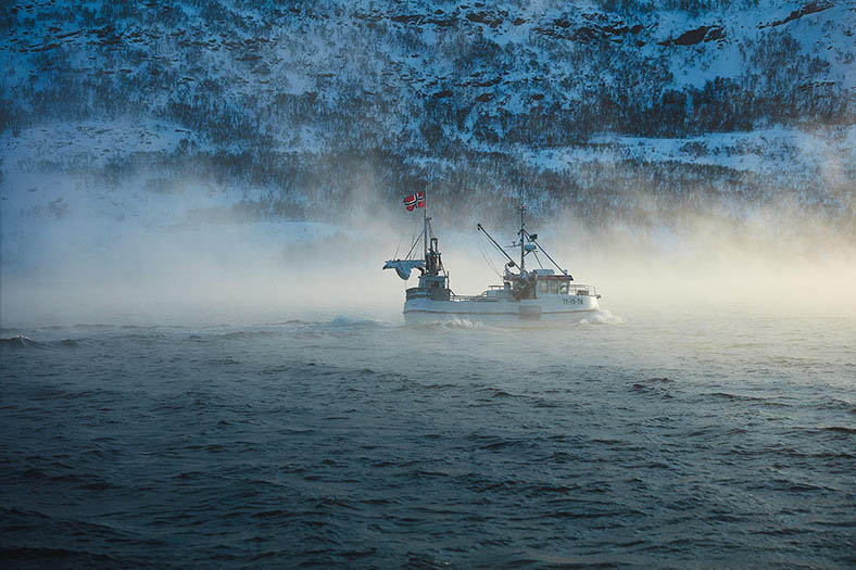 Cua Hoàng đế đỏ Na Uy - lựa chọn cho quà tặng và tiệc cuối năm